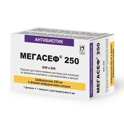 Мегасеф инъекцияға арналған ұнтақ 250 мг № 1