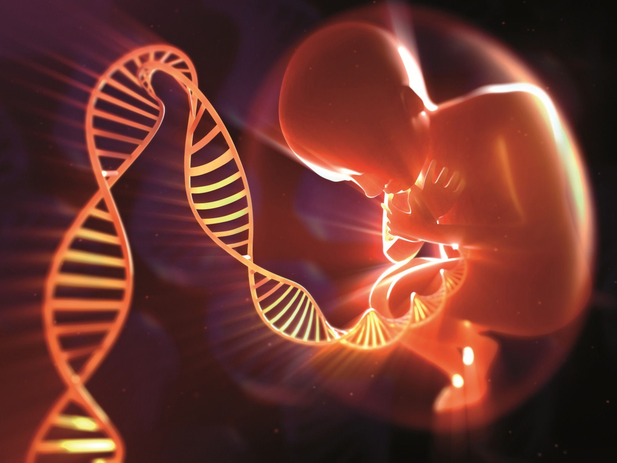 В Китае прошёл суд над учёными за создание трёх генетически изменённых детей